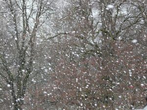 snowfall-16323_640