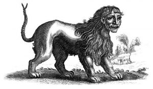 Manticore, or Martigora
